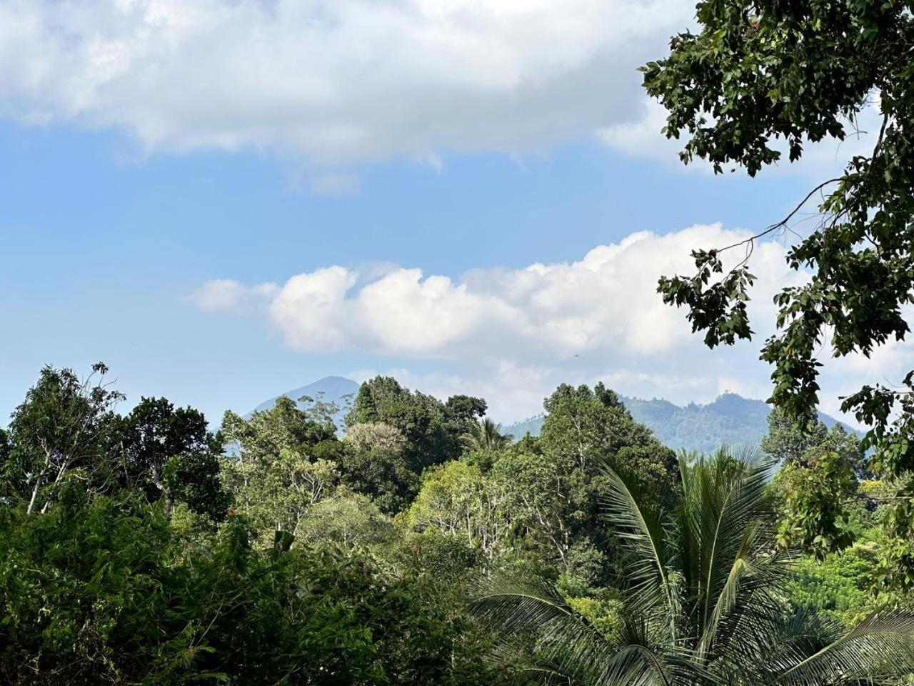 La Riya Ella - 05 Minutes To Ella Town Bed & Breakfast ภายนอก รูปภาพ
